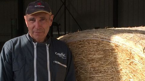 Christian Lermite est revenu à la culture du triticale pour la production de paille. © C. Lermite Christian Lermite est revenu à la culture du triticale pour la production de paille. © C. Lermite